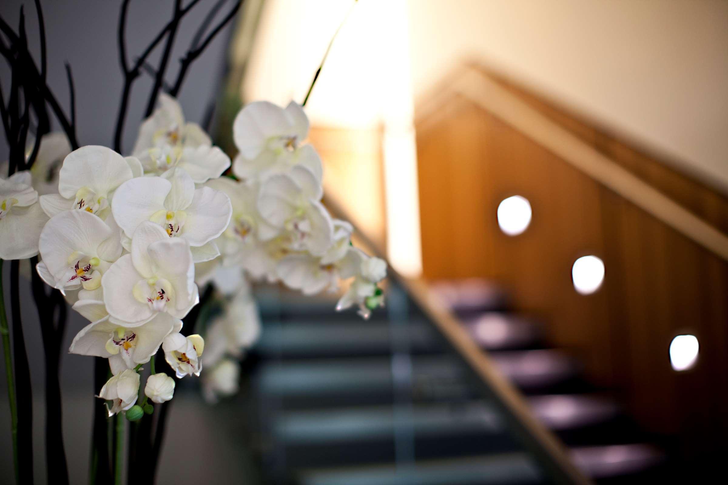 Hotel Hilton London Heathrow Airport Terminal 5 à Hillingdon Extérieur photo